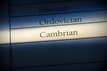 cambrian