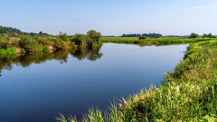 Ujście Biebrzy do Narwi w okolicy Wizny, Podlasie, Polska - obrazy, fototapety, plakaty