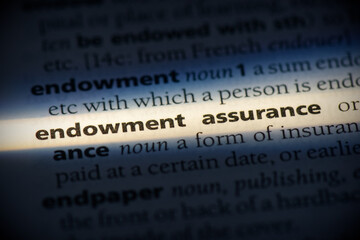 endowment assurance