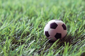 Close up image of soccer ball on soccer field. Selective focus. Copy space.