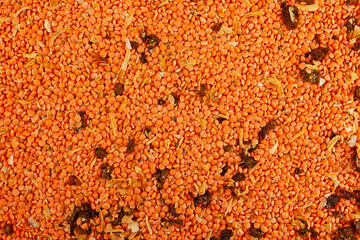 Indian cuisine. Mix of Uncooked ingredients for soup-mashed with curry. Dry legumes, close-up. Indian soup with lentils. Masurdal or Dal. Dried vegetables. Long-term storage Healthy Food