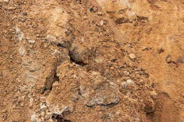 Soil on the ground as texture and background.