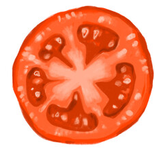 Red juicy fresh tomato cut slice hand painting illustration