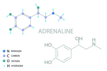 Adrenaline molecular skeletal 3D chemical formula.	