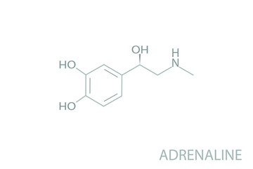 Adrenaline molecular skeletal chemical formula.	