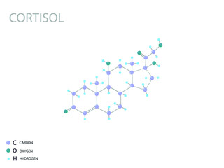Cortisol molecular skeletal 3D chemical formula.	
