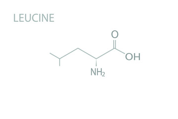 Leucine molecular skeletal chemical formula.	