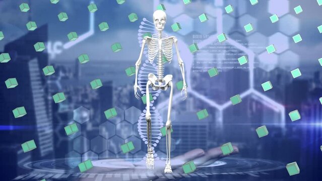 Animation of dna strand human skeleton and rows of green cubes over data processing