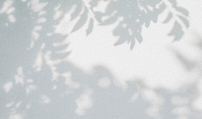 Obraz premium Abstract leaves shadow background, natural leaves tree branch on white concrete wall