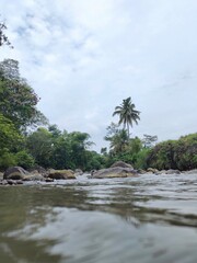 Obraz premium beach with palm trees