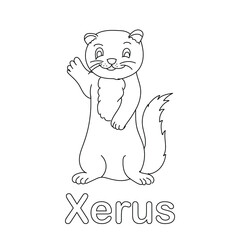 Fototapeta na wymiar Xerus coloring page line art animal vector