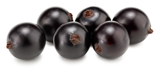 black currant isolated on white background. macro. clipping path