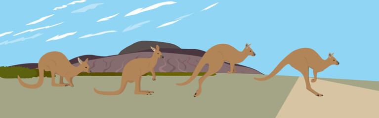 Kangaroo