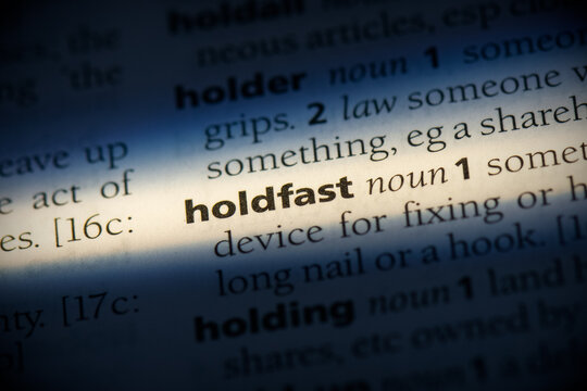 Holdfast