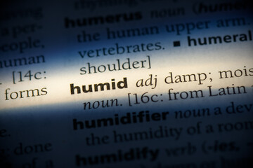 humid