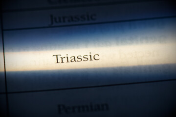 triassic