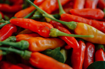 hot and spicy thai pepper