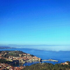 Fototapeta na wymiar Le port de Collioure dans la brume