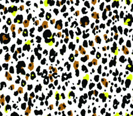 metered patterns suitable for textile consisting of animal skin