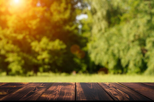 Table wood background in forest. Background of a blurred green summer forest with sunlight