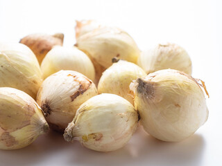 タマネギ　日本