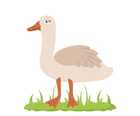Naklejka premium Cute goose in cartoon style. Vector character of a bird from a farm isolated on a white background.