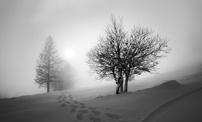 Fototapeta na wymiar Winter at Soriska Planina