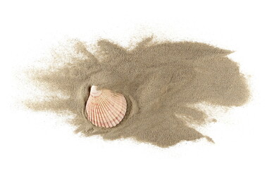 Sea shells in sand pile isolated on white, top view