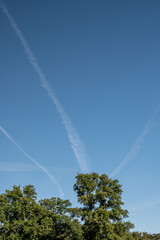 Fototapeta na wymiar Vapour trails in a clear summers morning over Hindhead, Surrey