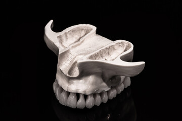 Lower human jaw with teeth anatomy model isolated on black background. Healthy teeth, dental care and orthodontic medical concept.