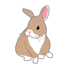 おすわりしている茶色うさぎ