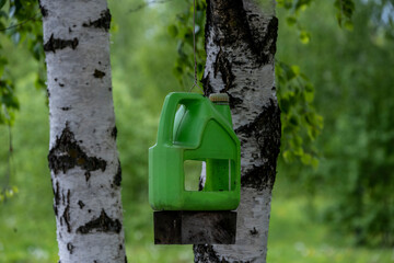 wild bird in natural conditions near the river
