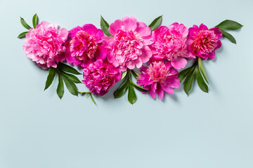 Beautiful garland of pink peony  flowers on blue background. Top view, copy space, flat lay. Floral background.
