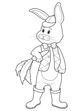 Isolated character, pet rabbit in clothes with a carrot in its paw. Children coloring book, vector.