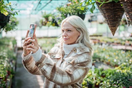 Woman with camera phone looking at hanging baskets in garden shop