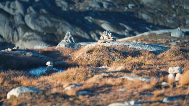 Stone cairns scattered through the northern landscape. Withered grass and moss cover the stones. Slow-motion, pan left.