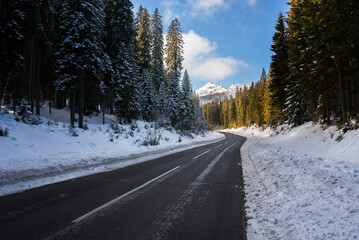 Road through winter forest on Pokljuka