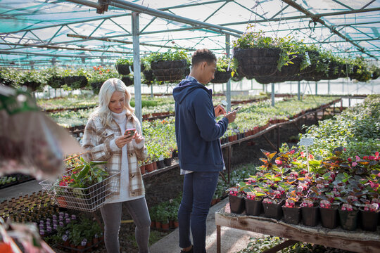 Couple with smart phones shopping in sunny garden shop