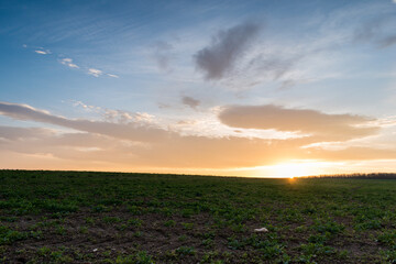 A scenic winter sunset over a large meadow.