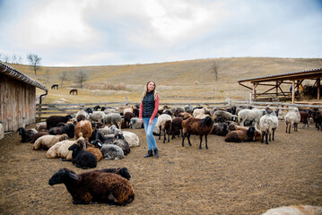 woman with flock of sheep in a field on the farm in autumn 