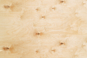 Plywood texture background. Pattern of wood on the surface of the shield.