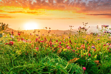 Obraz premium picturesque highland landscape with amazing view from hill with golden grass and green bushes