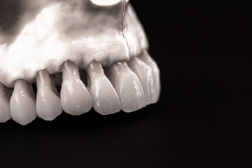 Obraz premium Lower human jaw with teeth anatomy model isolated on black background. Healthy teeth, dental care and orthodontic medical concept.