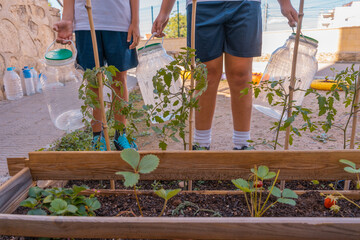 Detalle de medio cuerpo de dos niños con botellas de agua, para regar la plantación.