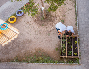 Vista aérea del huerto en el jardín del colegio, con dos niños irreconocibles, cuidando la plantación. Fotografía con espacio para texto. - obrazy, fototapety, plakaty