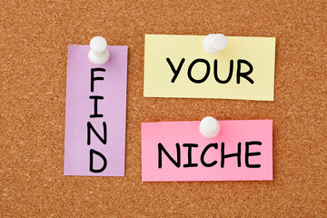 Find your niche message
