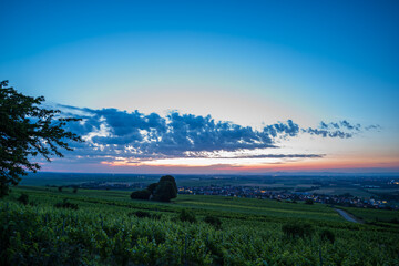 sunrise over the vineyard
