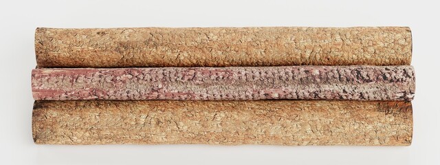 Realistic 3D Render of Tree Logs