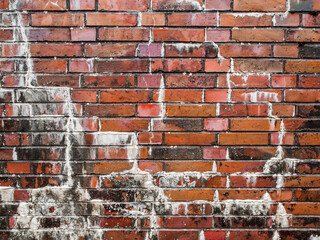 Brick wall with lime efflorescence