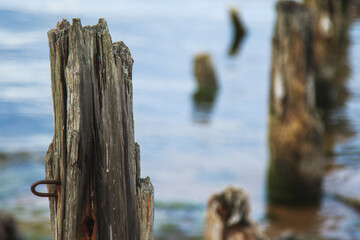 Sea scenery with broken pier poles sticking from water.